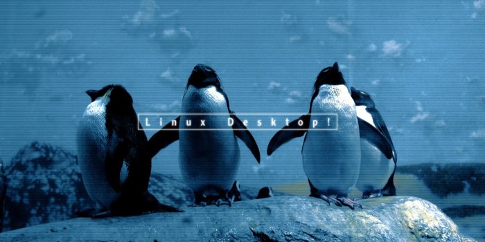 1600x1200 Best Penguin Linux Wallpapers