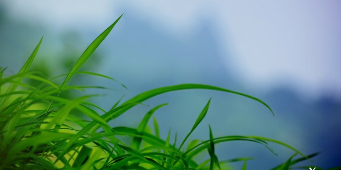 1280x800 MX Linux 19 Default Desktop Wallpapers – OS Wallpapers