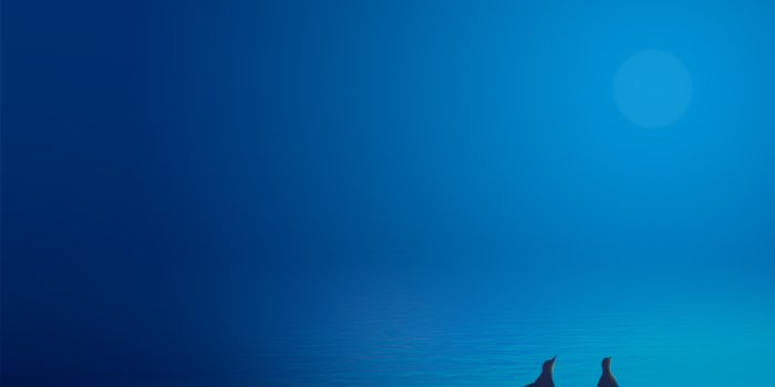 1024x768 Calculate Linux 18 Default Desktop Wallpapers – OS Wallpapers