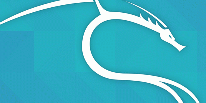 928x1651 Kali Linux Wallpaper 4K - Wallpapers For Tech - Technology Wallpaper