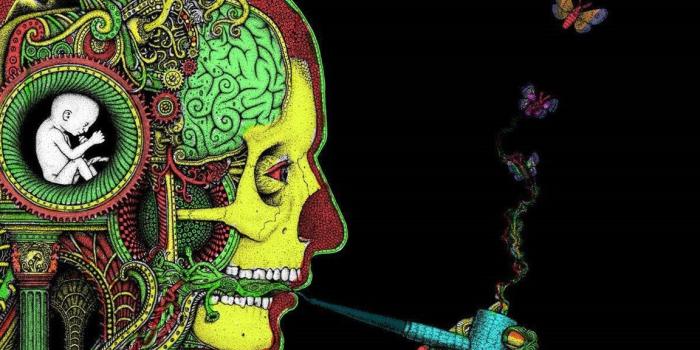 1152x864 Crazy Wallpapers Desktop Background