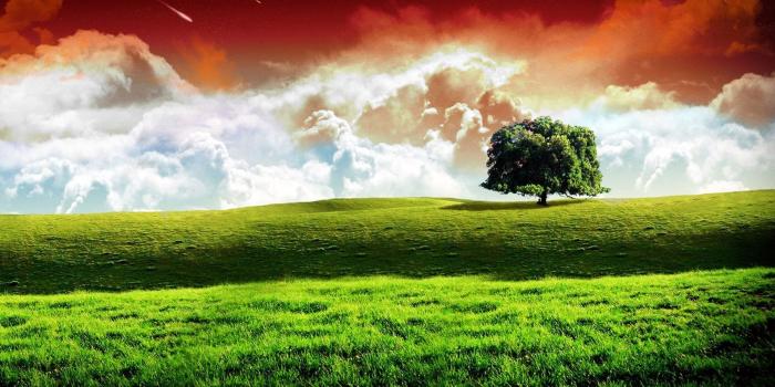 1916x1112 Free download Indian Flag Images HD Wallpapers [ Download [1916x1112] for  your Desktop, Mobile & Tablet | Explore 71+ Indian Wallpapers Free | India  Wallpaper Desktop, Cherokee Indian Wallpapers Free, Free American Indian  Wallpaper