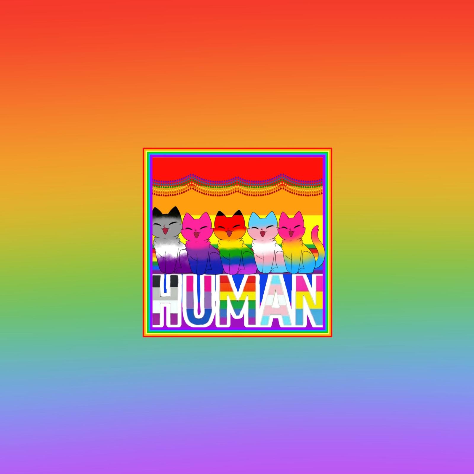 2048x2048 lgbtq+ wallpaper | Explore Tumblr Posts and Blogs | Tumgir