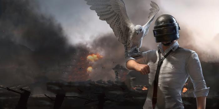 3840x2160 301868 PUBG, Mobile, Falcon, 4K wallpaper | Mocah HD Wallpapers