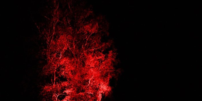 1000x1385 1000+ Black And Red Pictures | Download Free Images on Unsplash