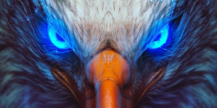 833x1481 Neon Eagle Wallpapers - Top Free Neon Eagle Backgrounds - WallpaperAccess