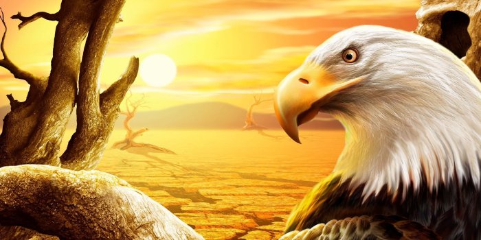 1920x1200 Biker and Eagle Wallpapers - Top Free Biker and Eagle Backgrounds -  WallpaperAccess