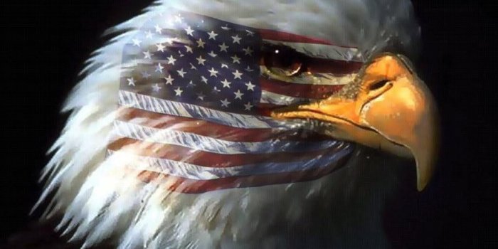 1024x768 American Eagle Wallpapers