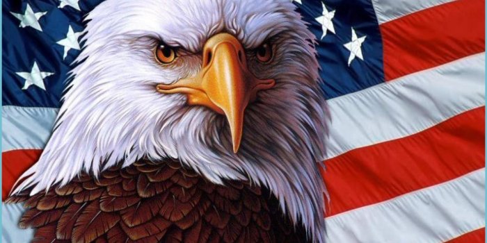 1862x1164 American Eagle Wallpapers - Top Free American Eagle Backgrounds - American  Flag Eagle Wallpaper Hd | Neat