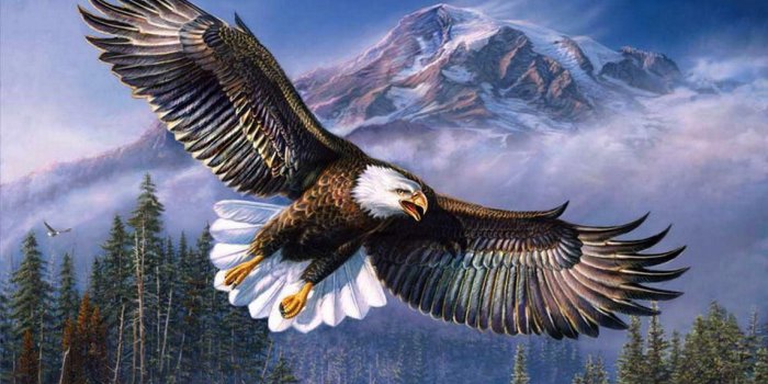 1145x770 Native American Eagle Wallpapers - Top Free Native American Eagle  Backgrounds - WallpaperAccess