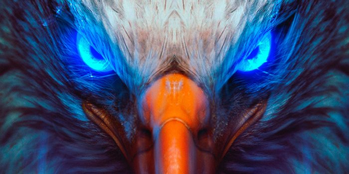 3332x1874 Eagle Eye, HD Artist, 4k Wallpapers, Images, Backgrounds, Photos and  Pictures