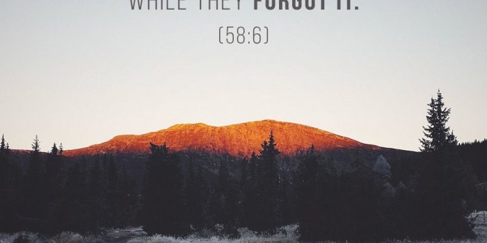 1000x1550 Islamic Quotes Wallpaper Quran Verse - 1000x1550 Wallpaper - teahub.io