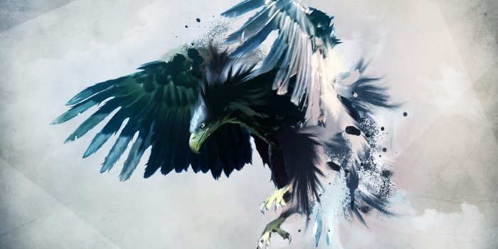 1920x1200 Wallpaper's Collection: «Eagle Wallpapers»