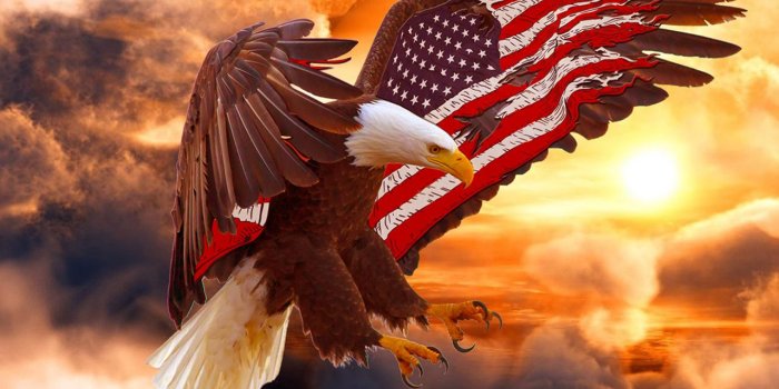 1280x800 American Eagle Wallpapers - American Flag Bald Eagle - 1280x800 Wallpaper -  teahub.io