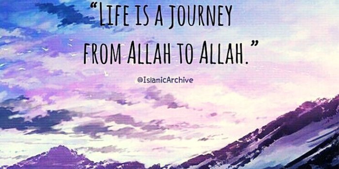 736x1320 Pin on Learn Quran