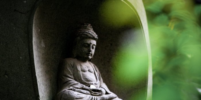 1000x1500 Buddha Wallpapers: Free HD Download [500+ HQ] | Unsplash