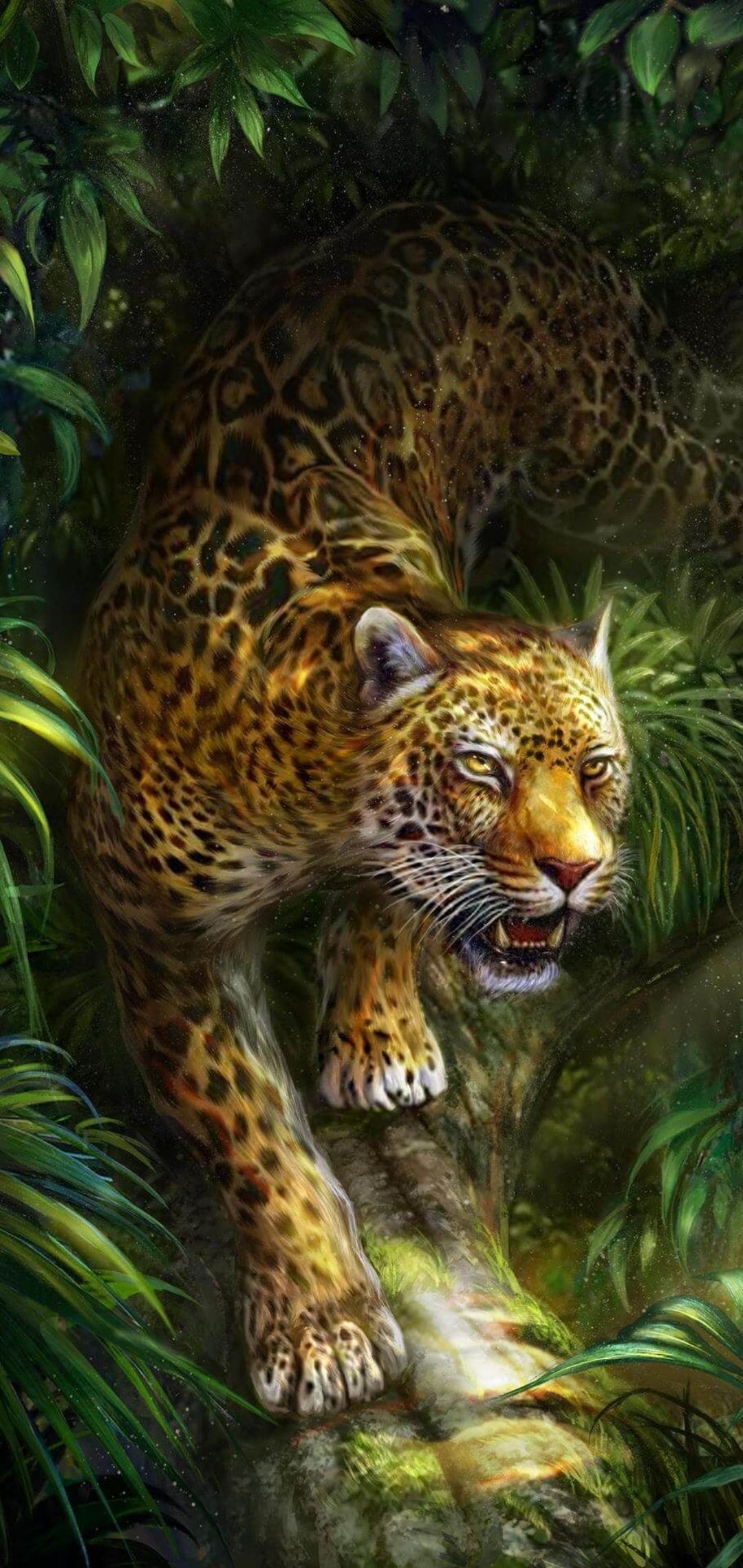 1080x2280 Leopard Wallpapers - Top Best 4k Leopard Wallpapers Download [ HD ]