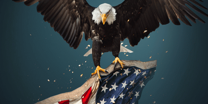 1242x2208 American Flag Wallpaper - EnWallpaper