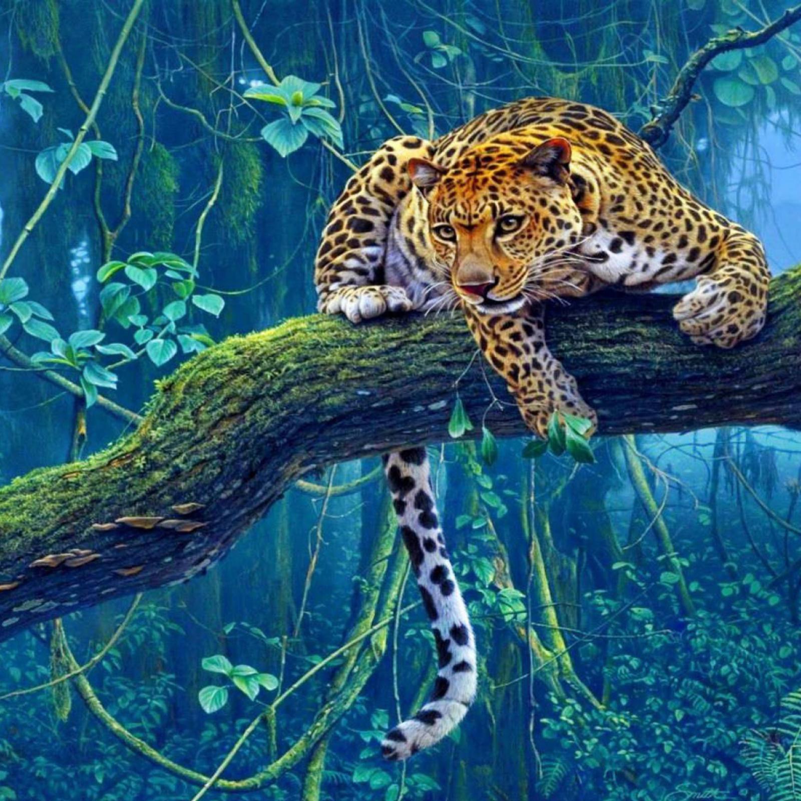 2048x2048 Jungle Big Leopard iPad Air Wallpapers Free Download