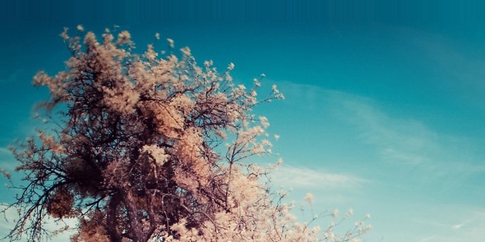 1080x1920 Tree Bench Smartphone Hd Wallpapers - Best Hd Wallpapers For Smartphones -  1080x1920 - Download HD Wallpaper - WallpaperTip