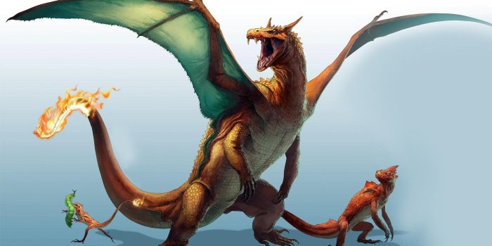 1920x1080 Pokemon Charizard Wallpapers HD (20 Photos) Desktop Background