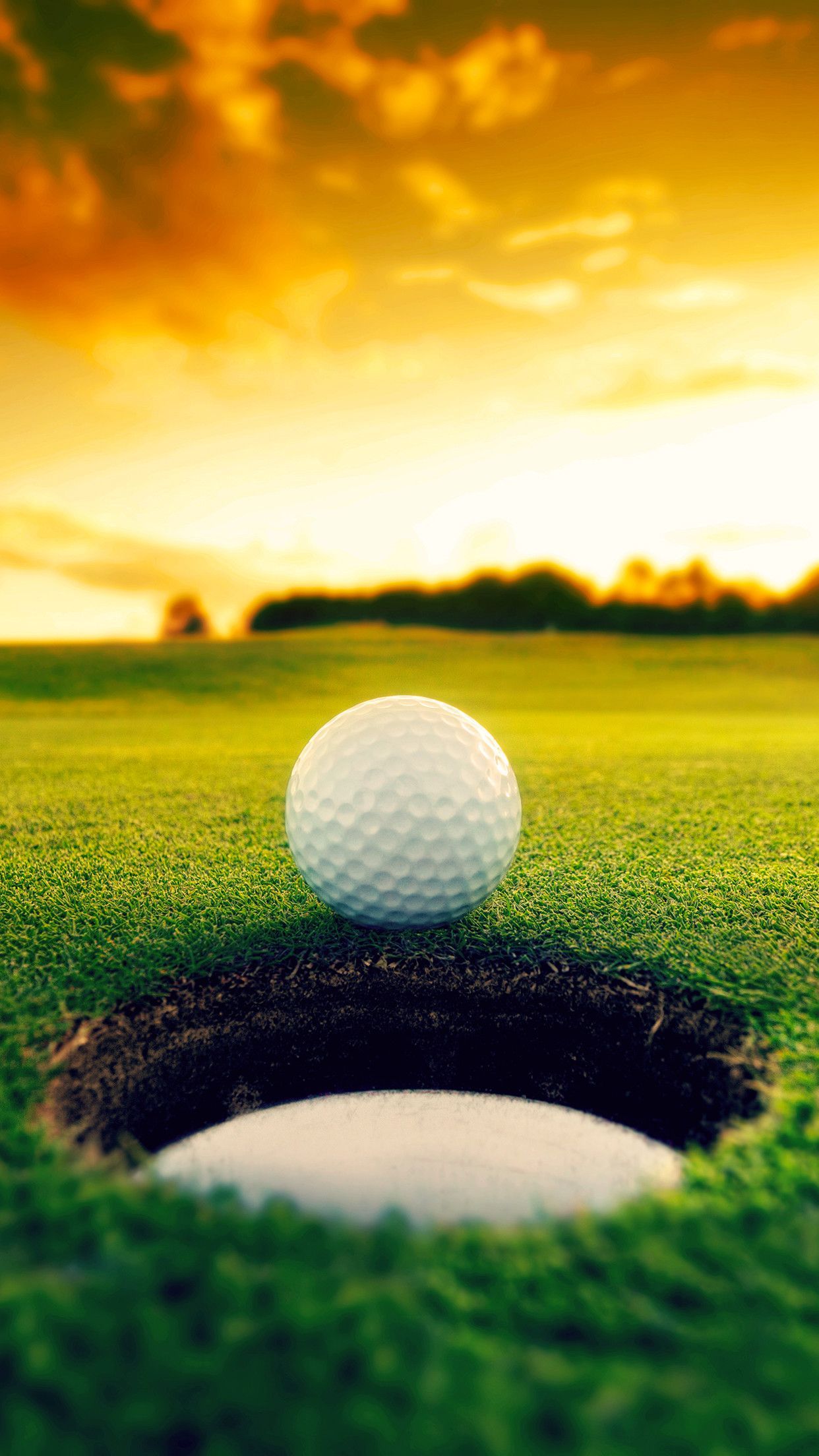 1242x2208 Golf iPhone Wallpapers - Top Free Golf iPhone Backgrounds - WallpaperAccess
