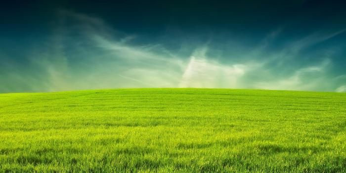 1920x1080 Lawn Wallpapers