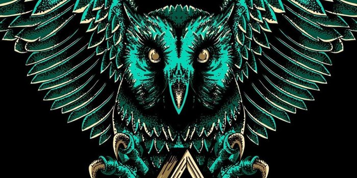 1080x1920 MuchaTseBle | Owl artwork, Illuminati art, Owl wallpaper