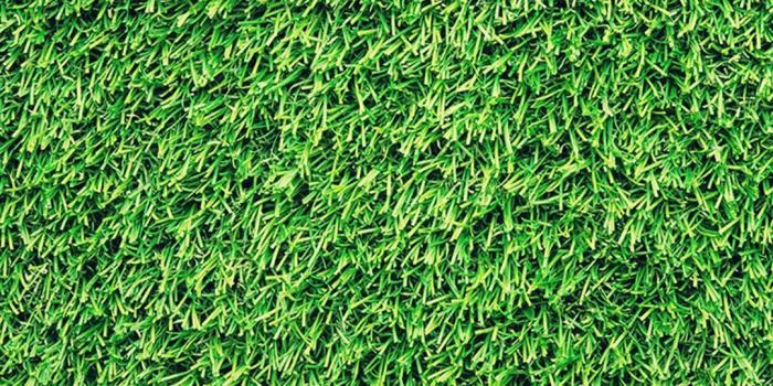 1080x1920 Grass iPhone Wallpapers - Top Free Grass iPhone Backgrounds -  WallpaperAccess