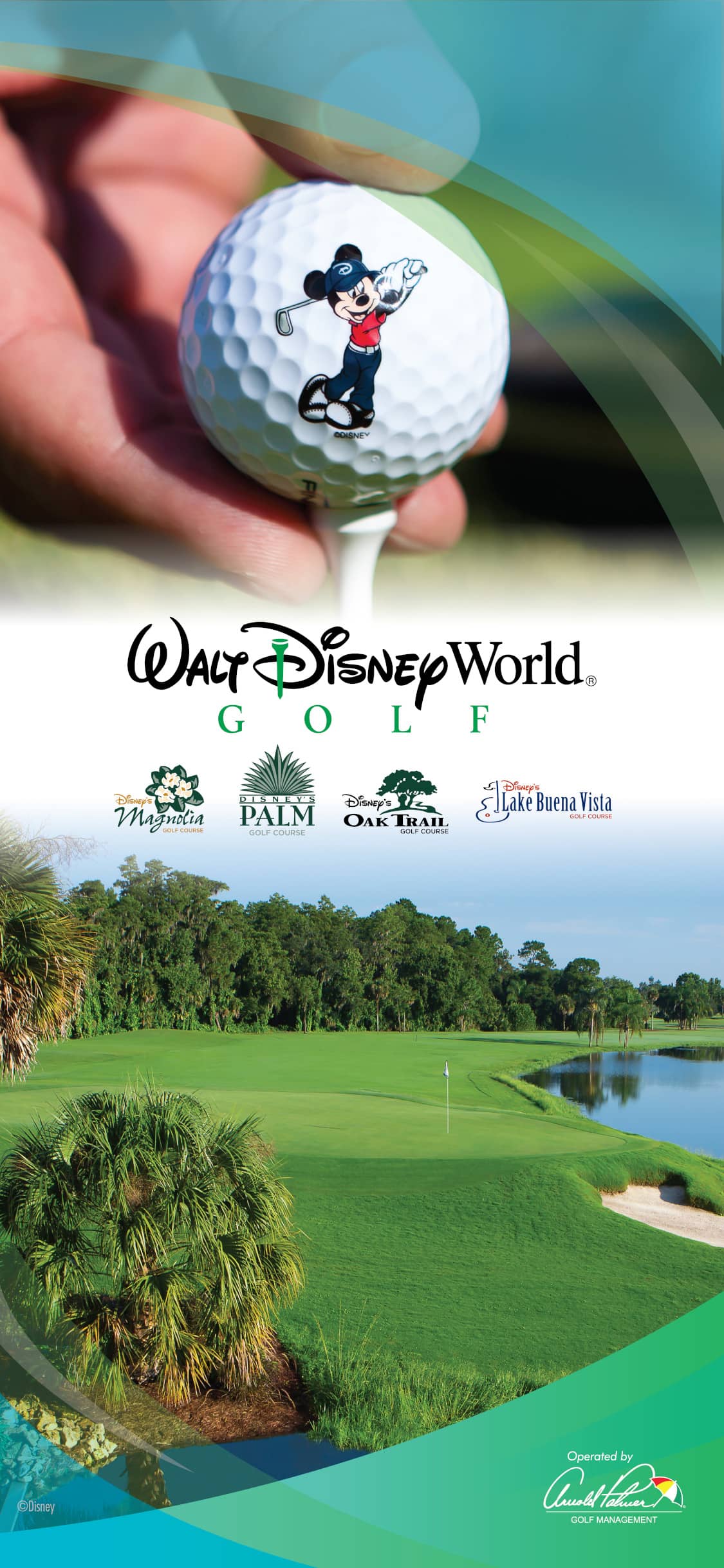 1125x2435 Disney Golf Wallpaper