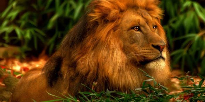 1920x1080 Wallpapers Hd Pc Android Mobile Windows 7 : Wallpapers13.com