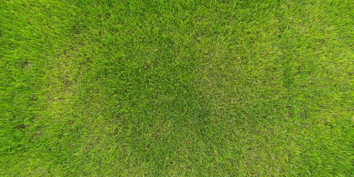 5456x3486 Most viewed Grass wallpapers | 4K Wallpapers