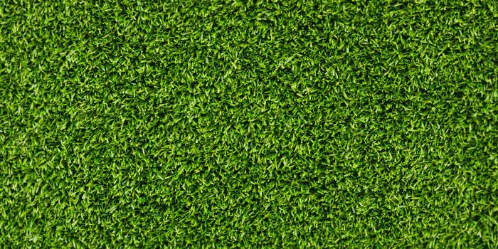 1920x1200 Grass Background wallpaper | 1920x1200 | #53342