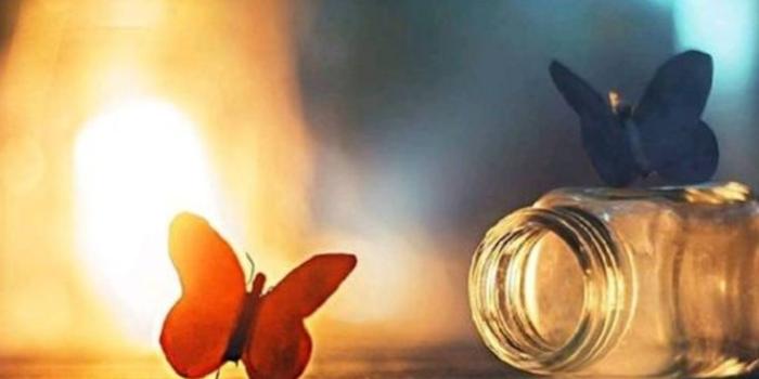 735x1102 500+ Beautiful Good Night Images [Best Collection ]