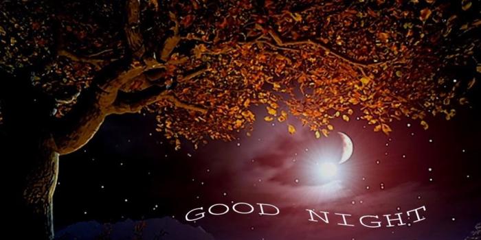 1024x768 Good Night Wallpapers Free Download For Mobile Desktop Background