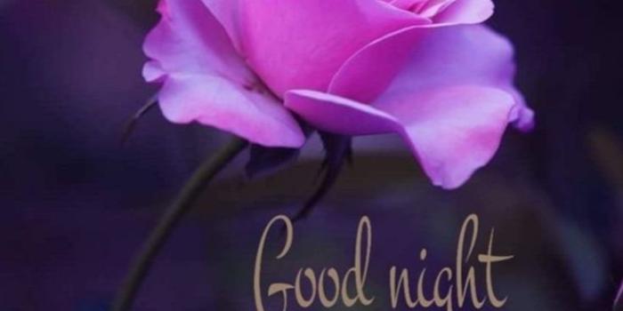 735x1102 500+ Beautiful Good Night Images [Best Collection ]