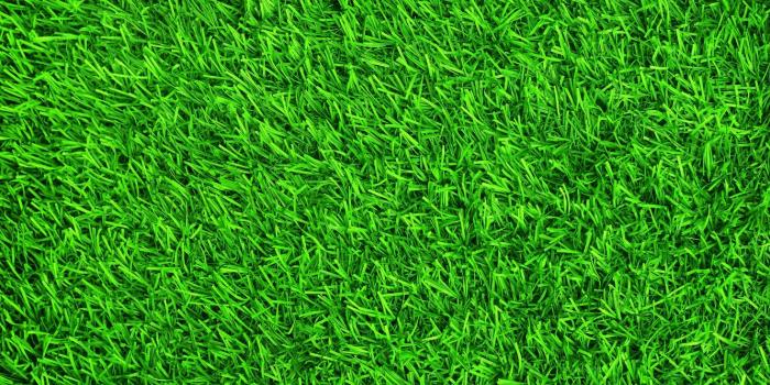 1332x850 Grass Background Wallpaper - EnJpg