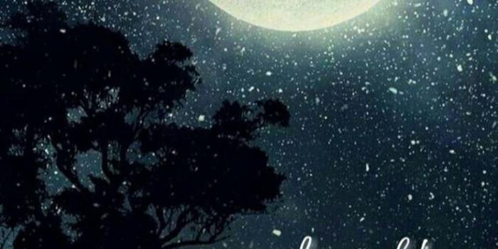 735x1102 500+ Beautiful Good Night Images [Best Collection ]
