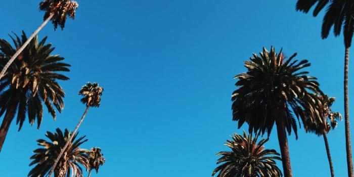 1000x1333 California Wallpapers: Free HD Download [500+ HQ] | Unsplash