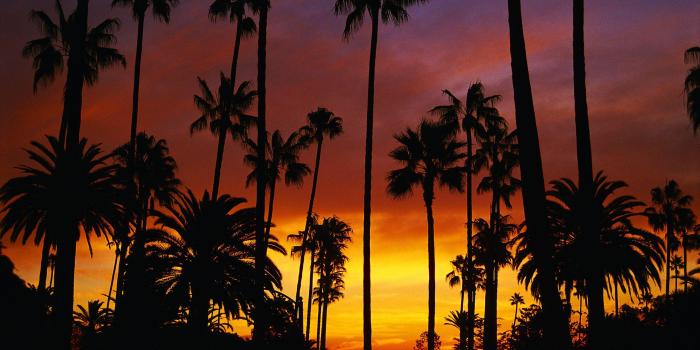 2560x1600 Hotel California Wallpapers