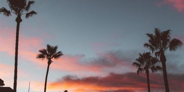 1125x2436 Best California iPhone X HD Wallpapers - iLikeWallpaper