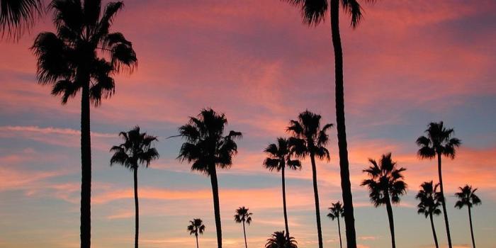 1024x768 California Pictures Wallpapers Desktop Background