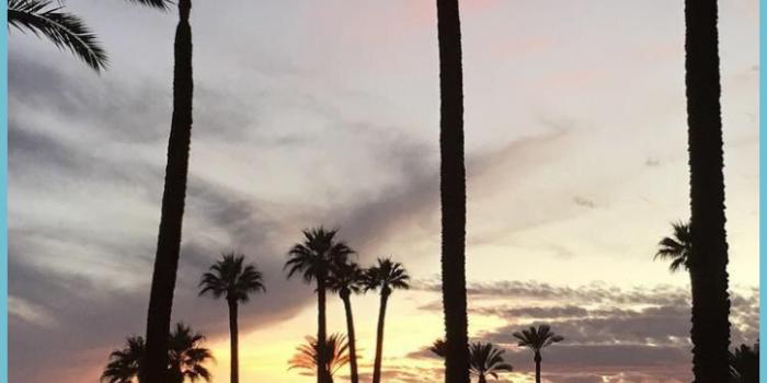 727x1293 California IPhone Wallpapers - Top Free California IPhone - California  Iphone 6 Wallpaper | Neat