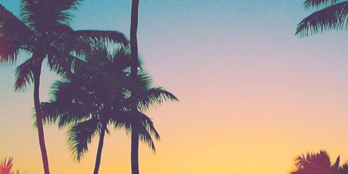 1080x1920 iPhone California Wallpapers - 4k, HD iPhone California Backgrounds on  WallpaperBat