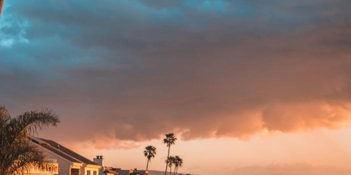 1242x2688 California Pictures iPhone X Wallpapers Free Download