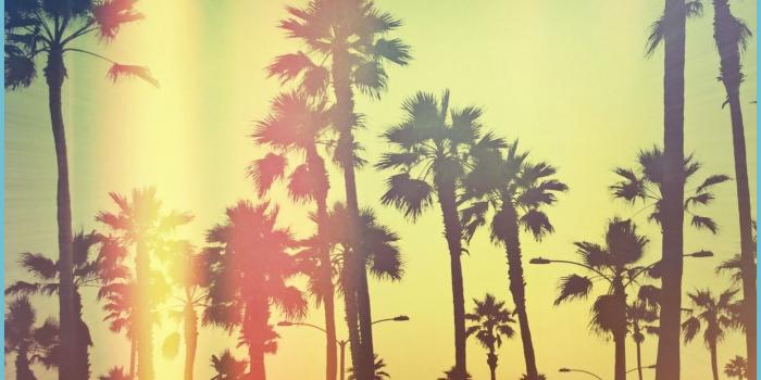 1241x993 California Wallpapers Hd Resolution ~ Monodomo California - California  Wallpaper Hd | Neat