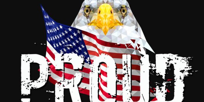 900x1600 Proud USA iPhone Wallpaper - iPhone Wallpapers : iPhone Wallpapers