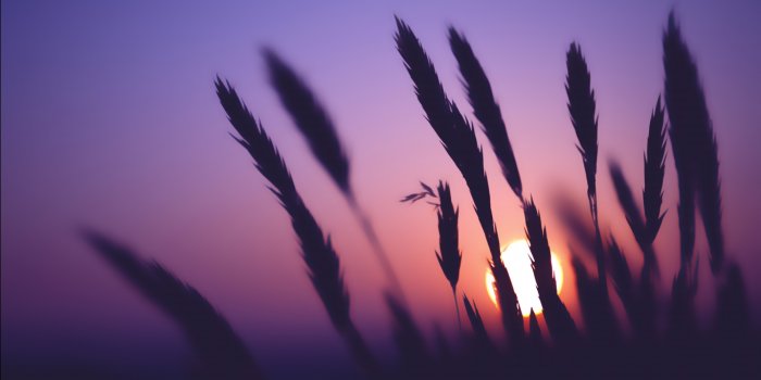 1366x768 150 Wallpapers (1366x768) - Album on Imgur