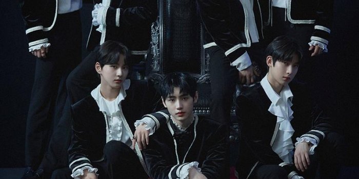 800x1333 ENHYPEN Wallpaper for Android - APK Download