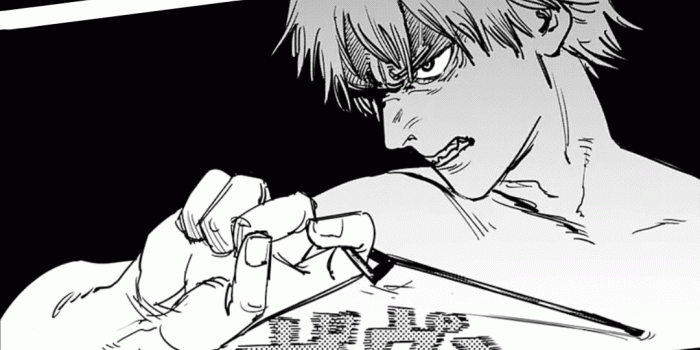 1080x1920 Chainsaw Man Wallpaper